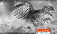 琥珀包裹的小鸟